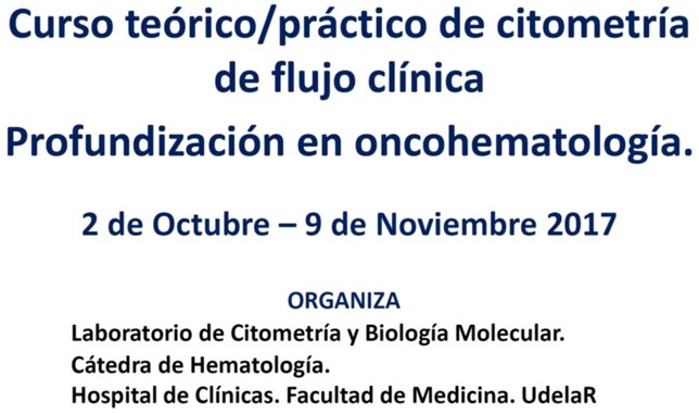 foto curso 2
